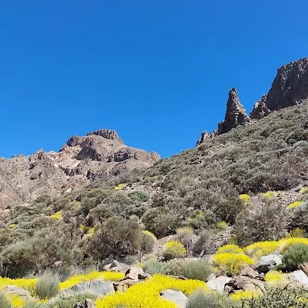 The Ocean View Olympia *