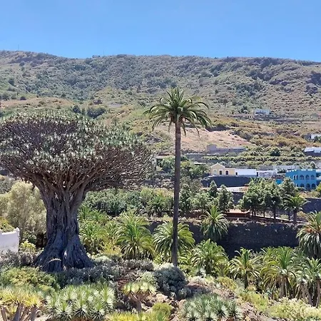 The Ocean View Olympia