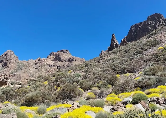 The Ocean View Olympia *