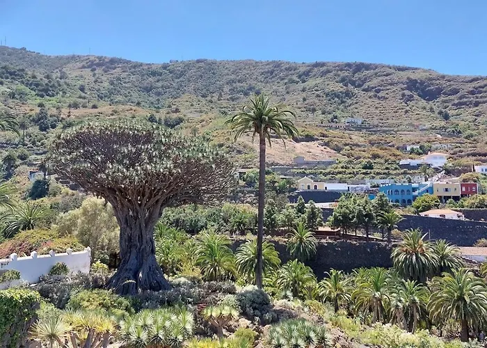 The Ocean View Olympia